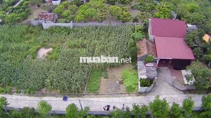 BÁN ĐẤT NỀN THỊ XÃ CHŨ BẮC NINH