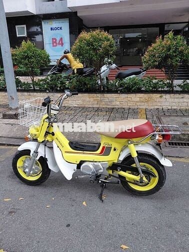 Chaly nhật 50cc tuyệt đẹp