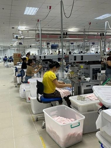 Cần tuyển người làm đi làm ngay lương hấp dẫn.