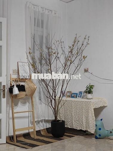 Cho thuê nhà nguyên căn hẻm đối diện thép Quốc Tiến