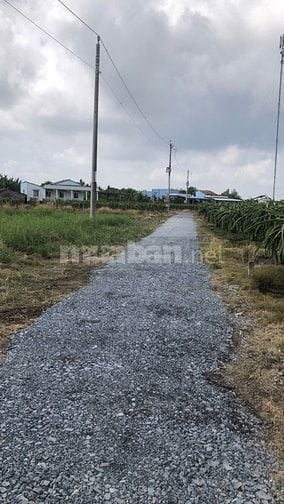 Đất vườn ven sông Tầm Vu, Long An rẻ đẹp