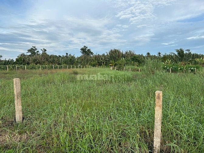 Đất vườn ven sông Tầm Vu, Long An rẻ đẹp