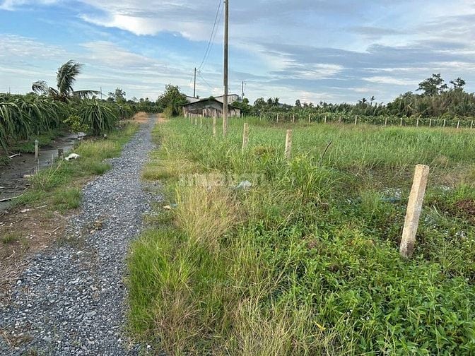 Đất vườn ven sông Tầm Vu, Long An rẻ đẹp