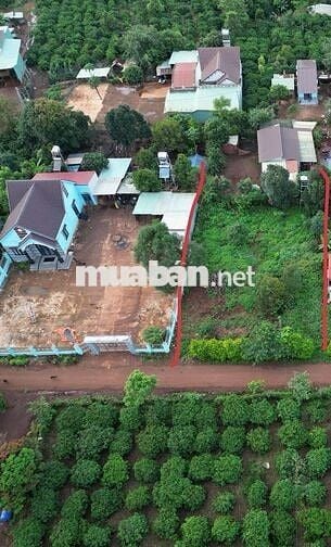 Cần bán lô đất mặt tiền đường nhựa lớn. 150 thổ cư
