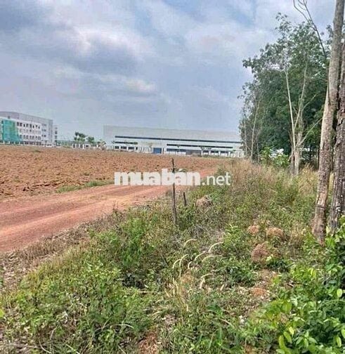 Đất ngay khu công nghiệp Bắc Đồng Phú B giá rẻ tiềm năng cao