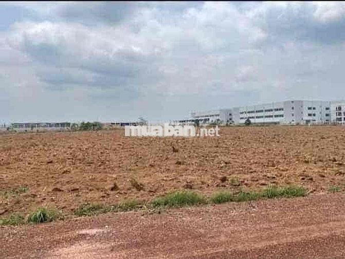Đất ngay khu công nghiệp Bắc Đồng Phú B giá rẻ tiềm năng cao