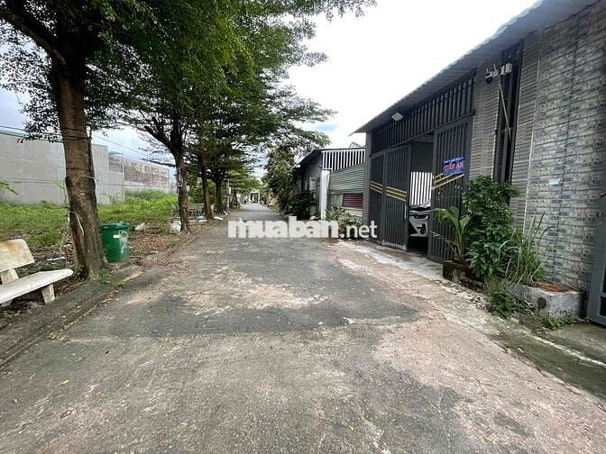 bán đất đẹp gần nhà thờ Thiên Bình, hẻm đường lớn