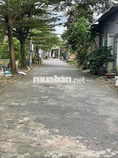 bán đất đẹp gần nhà thờ Thiên Bình, hẻm đường lớn
