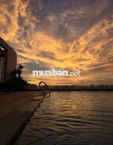 THUÊ CĂN HỘ ASCENT LAKESIDE 1PN1WC