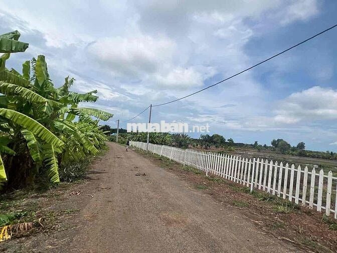 BÁN ĐẤT THỔ CƯ XÃ HẮC DỊCH – PHÚ MỸ – BÀ RỊA VŨNG TÀU