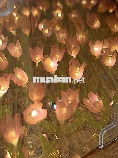 Cho thu.ê nhà sân vườn mặt tiền Hải Châu