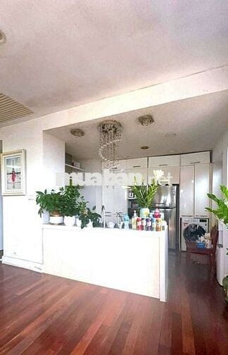 Bán gấp căn Duplex Tòa Golden Westlake Tây Hồ. DT 557m. TK 3PN, 4WC