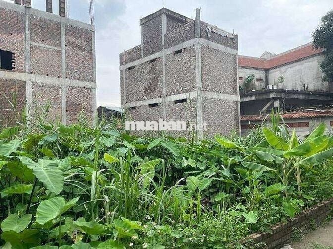Bán 50m2 đất Phúc Lợi ngõ thông thoáng, gần ô tô tránh, gần công viên