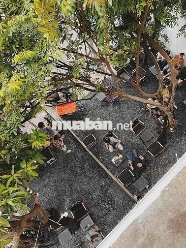 Nhà mặt tiền Hoa Đào - Phú Nhuận diện tích 7x14m giá 40tr
