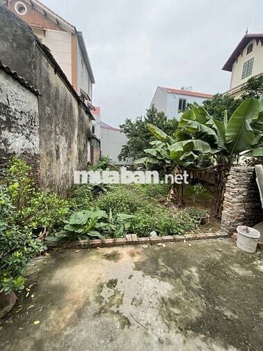 Bán 62m2 đất tình quang , đất vuông vắn đẹp , giá đầu tư , mua ở