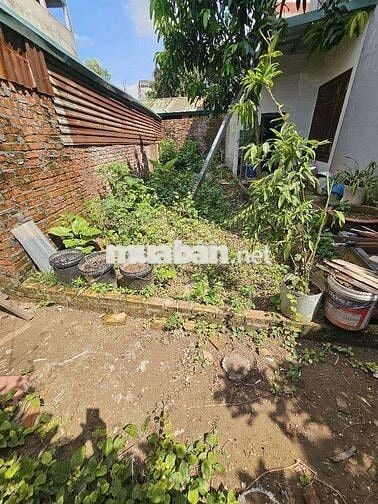 ĐẤT ĐẸP GIÁ RẺ PHỤ HỢP MUA XÂY NHÀ , KHU VỰC ĐÔNG ĐÚC TÌNH LÀNG XÓM