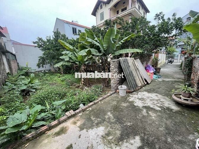 Bán 62m2 đất tình quang , đất vuông vắn đẹp , giá đầu tư , mua ở