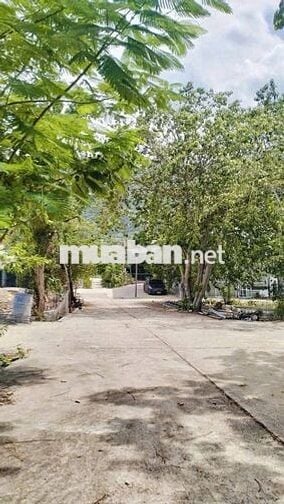 chính chủ cần bán lô đất full thổ 2 mặt tiền  phước đồng  98m2