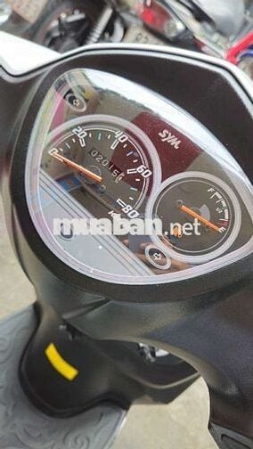 Shark 50cc