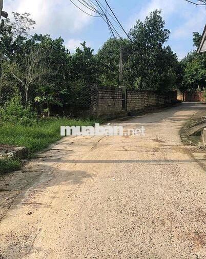 Chính Chủ Bán 200m2 Đất Mặt Tiền Đường