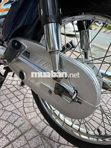 anpha lốc đen cop vĩnh long