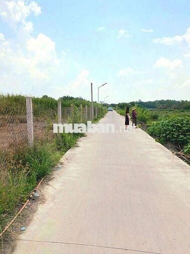 Hàng F0, chỉ 379tr sở hữu 137m2 đất thổ đường đan Bạch Thị Năm