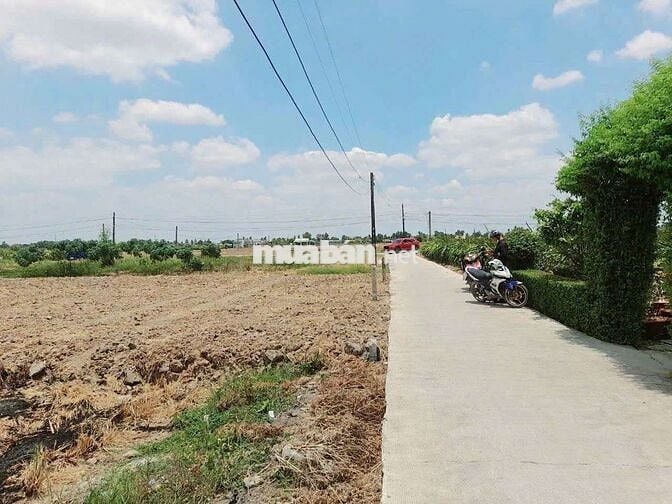 Hàng F0, chỉ 379tr sở hữu 137m2 đất thổ đường đan Bạch Thị Năm