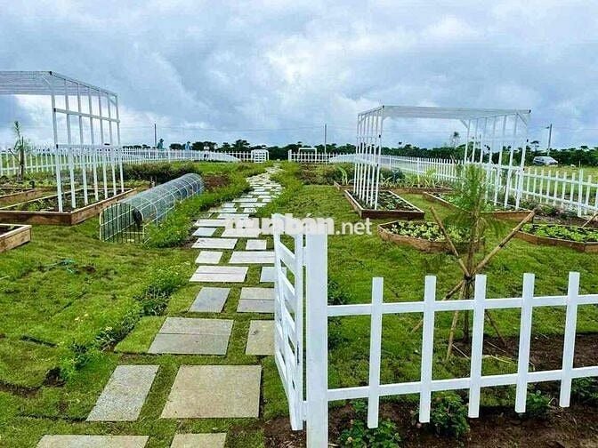 Đất thổ cư ngay ngã 3 cây xăng Liên Nghĩa,QL20 đi vào,Sổ Hồng Riêng.