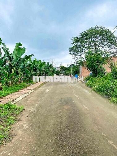 Đất thổ cư ngay ngã 3 cây xăng Liên Nghĩa,QL20 đi vào,Sổ Hồng Riêng.