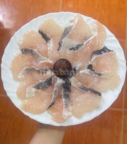Cần tuyển trợ lý giám đốc biêt tiếng trung sinh viên ra trường