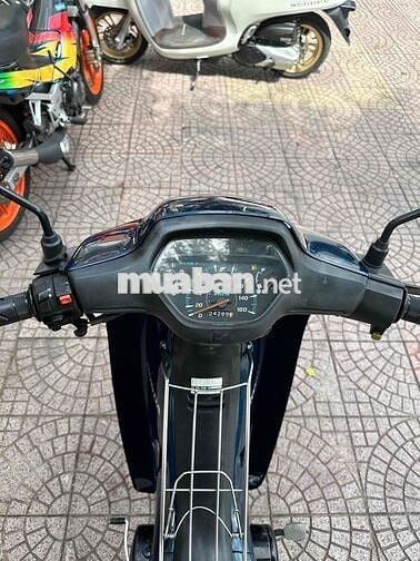 anpha lốc đen cop vĩnh long