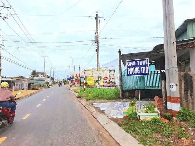 Siêu phẩm, 1000m2 đất mặt tiền xe cont 833 chỉ 3 tỷ