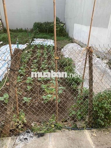 bán đất đẹp vĩnh thanh- ô tô ngủ trong đất - gần cầu thăng long bán đất đẹp vĩnh thanh- ô tô ngủ trong đất - gần cầu thăng long