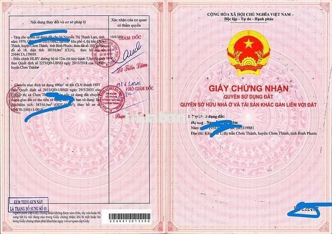 Đất Bình Phước Giáp Bìn Dương 38.500m  7.5 tỷ 1 hét  thu nhập 50t-70tr