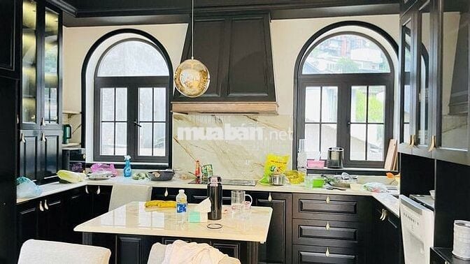 🔥 Bán Villa, Biệt thự mới, View đẹp 500m2 đường tô hiến thành, đà lạt🔥