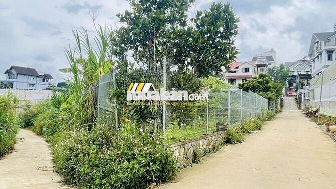 Villa Hạ 10 tỷ sân vườn 1135m² hoàn công 3T, 2MT  Triệu Việt Vương