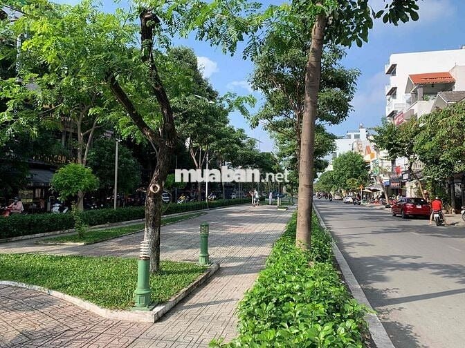 ĐẤT FO CHÍNH CHỦ MT PHẠM HUY THÔNG