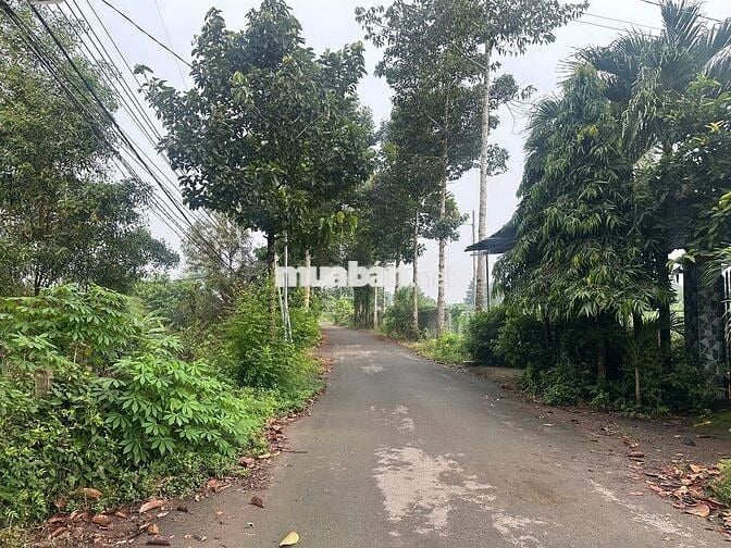 🔥 CẦN TIỀN BÁN GẤP 8m NHỰA,200 THỔ, CHỈ 2,1 TỶ, CHO VAY 1,85 TỶ