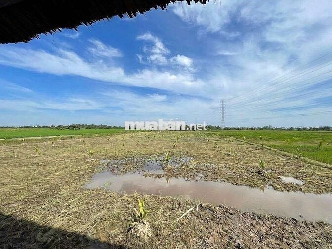 BÁN ĐẤT LỚN – XÃ PHÚ ĐÔNG, HUYỆN NHƠN TRẠCH, ĐỒNG