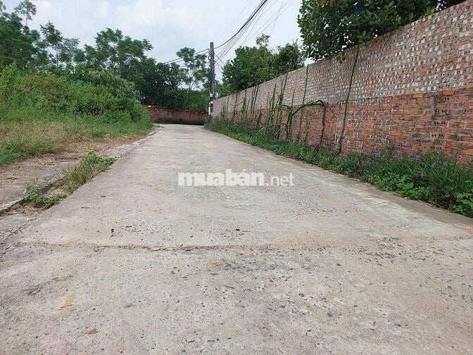 Giá Rẻ Giật Mình Chính chủ cần Bán Gấp Đất Fuff Thổ Cư. TAM DƯƠNG VP