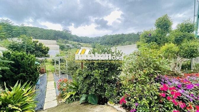 Villa Hạ 10 tỷ sân vườn 1135m² hoàn công 3T, 2MT  Triệu Việt Vương