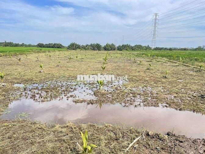 BÁN ĐẤT LỚN – XÃ PHÚ ĐÔNG, HUYỆN NHƠN TRẠCH, ĐỒNG