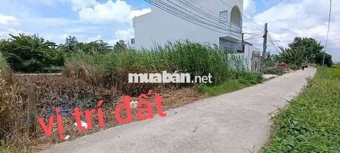 Bán đất xã Nhị Thành Thủ Thừa Long An