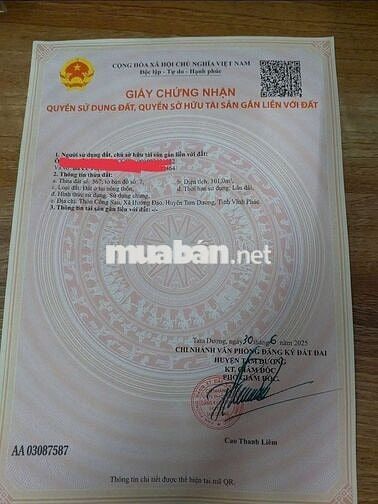 Giá Rẻ Giật Mình Chính chủ cần Bán Gấp Đất Fuff Thổ Cư. TAM DƯƠNG VP