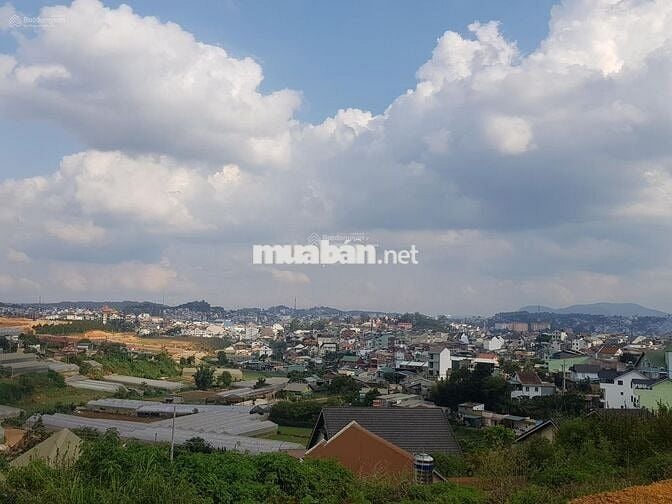 Đất mặt tiền đường nhựa Phường 6, trung tâm Đà Lạt hiếm có