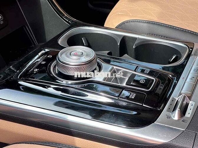 Kia Carnival 2021 2.2D Premium 8 chỗ - 39000 km