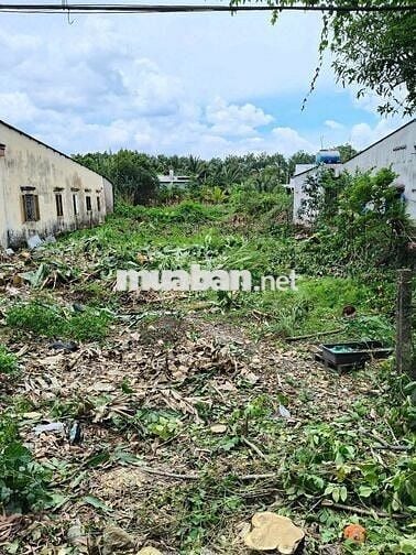 Đất 260m2 Hưng Long-Bình Chánh-đường Đoàn Nguyễn Tuấn - 1Tỷ290tr