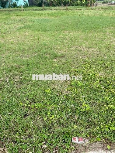 Cách KCN Tân Kim 2km , Trường Bình, 130m2 thổ , chốt giá 640 triệu.