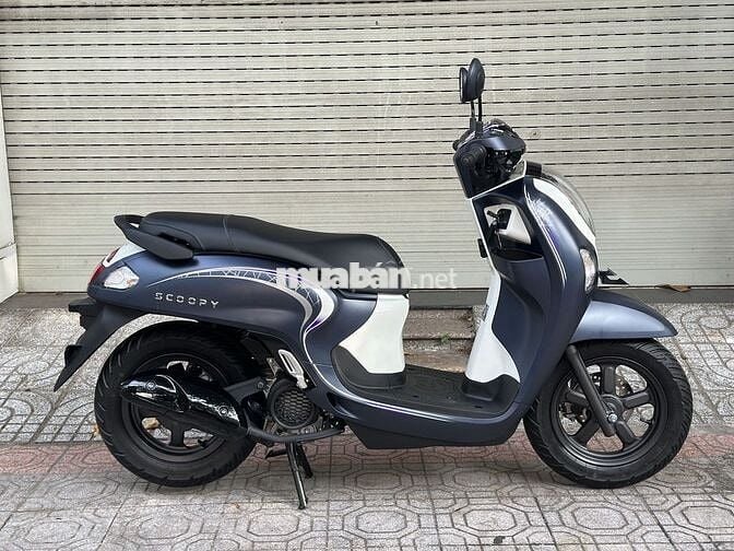 Scoopy 2025 - New 100%