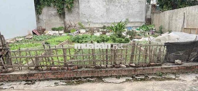46,6M2 Đất đẹp nở hậu, ô tô vào đất tại Thị trấn Đông Anh chỉ 4,88 tỷ